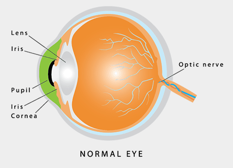 Normal Eye Pattern