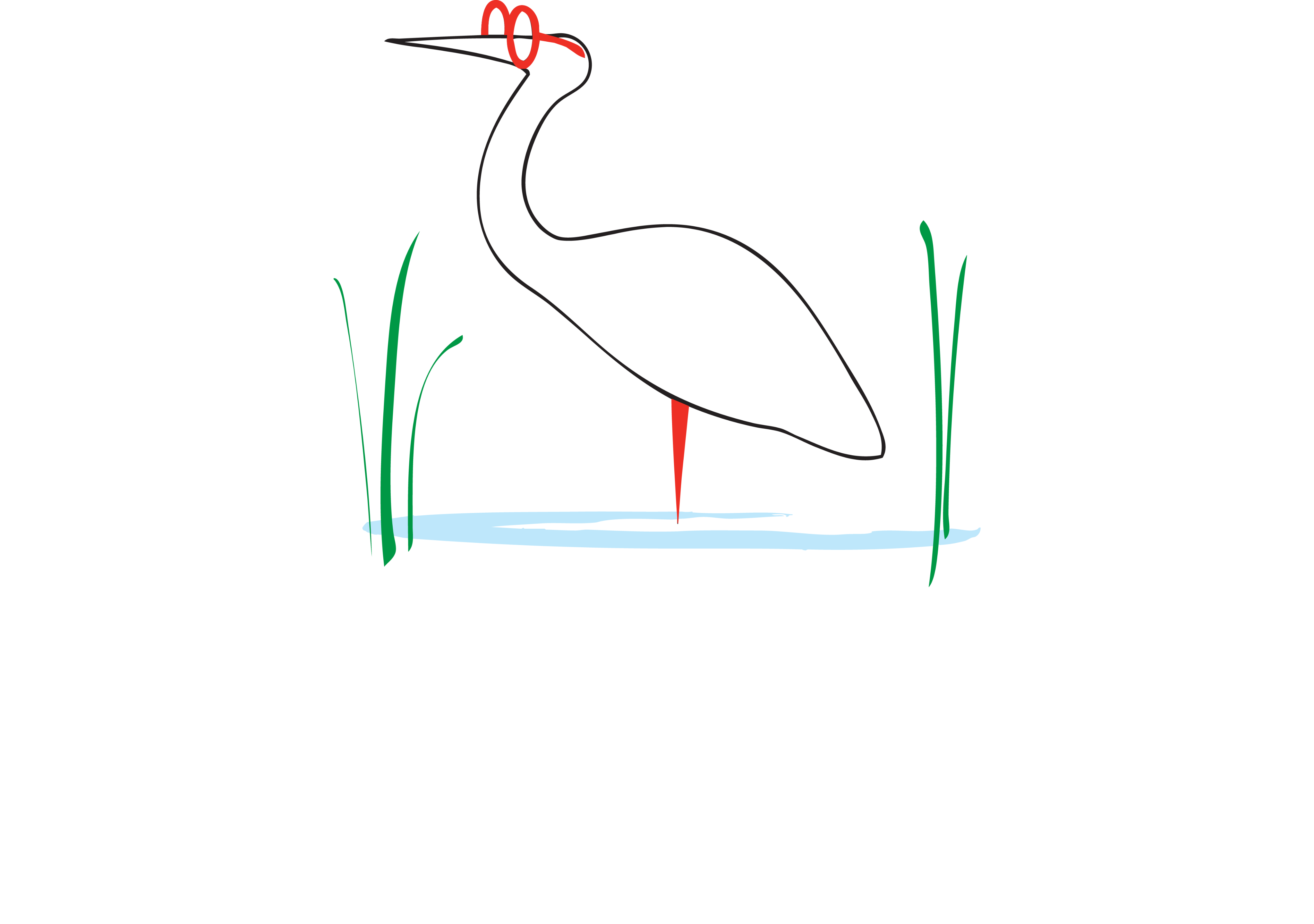 lowcountry-eyecare-white-logo Lowcountry Eye Care Logo